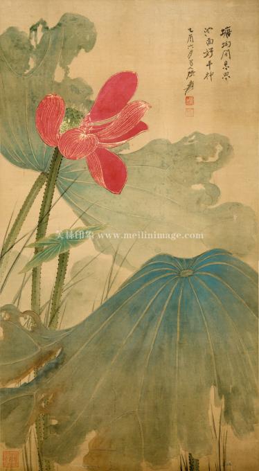 张大千-荷花图-97x50cm